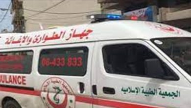 Photo of كلب مسعور يهاجم طفلاً.. وإصابة بالغة