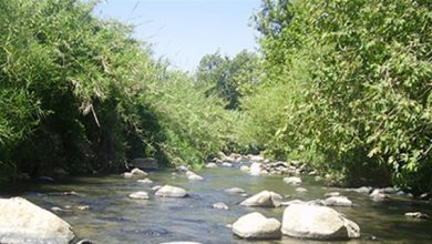 Photo of العثور على جثة مواطن في نهر الحاصباني
