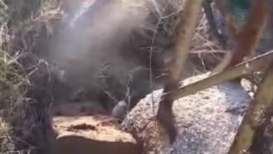 Photo of بعد إكتشاف “سخونة تنبعث من الارض” في إحدى المناطق.. اليكم الحقيقة والمسببات