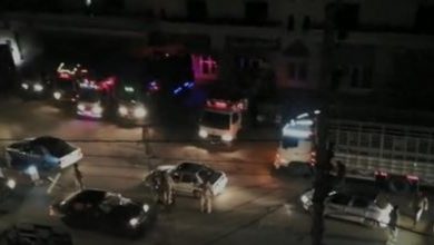 Photo of “الجمارك” توقف 17 شاحنة محملة بالأغنام في المنارة
