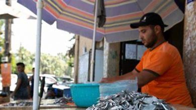 Photo of اشكال وتضارب في “سوق السمك” في طرابلس