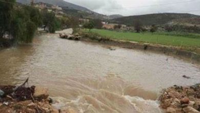 Photo of الجيش يوقف متعدين على مجرى نهر الليطاني
