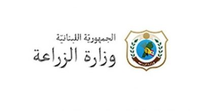 Photo of بيان صادر عن وزارة الزراعة.. ماذا طلبت من البلديات بشأن الجراد؟