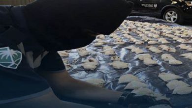 Photo of هكذا دمر إسكوبار اللبناني ما تبقى من إقتصاد لبنان!