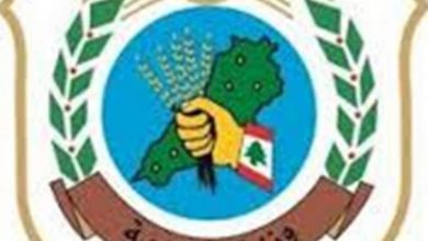 Photo of وزارة الزراعة: تمت السيطرة على الموجة الحالية للجراد