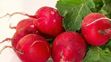 Photo of بعد الحظر السعودي..أسعار المنتجات الزراعية قد تنخفض 30%..ماذا يقول التجار؟
