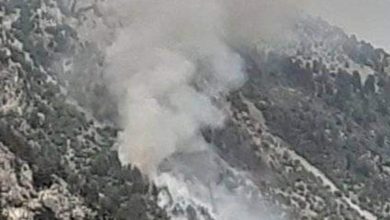 Photo of حريق في جرد المشمش في عكار والدفاع المدني يتحرك