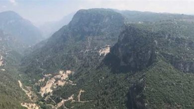 Photo of حريق وادي جهنم مستمر… ومناشدات للمساعدة (فيديو)