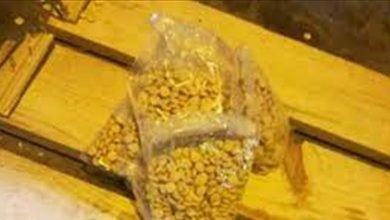 Photo of بعد احباط تهريبها عبر مرفأ صيدا… ضبط كميات جديدة من “الحشيشة”في شاحنتي خردة (صور)