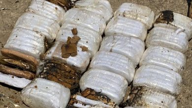 Photo of إحباط عملية تهريب كمية كبيرة من حشيشة الكيف… ما كانت وجهتها؟ (صور)