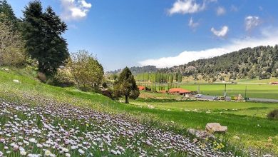 Photo of طقس ربيعي يسطير على لبنان..وعودة للأمطار المحلية في نهاية الأسبوع