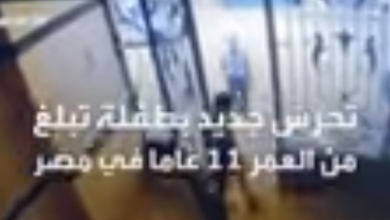 Photo of حادثة المعادي في مصر تتكرر.. أربعيني يتحرش بابنة الـ 11 عاماً (فيديو)