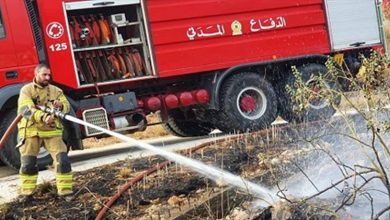 Photo of بلدية عين الريحانة نفت اندلاع حرائق في احراج البلدة