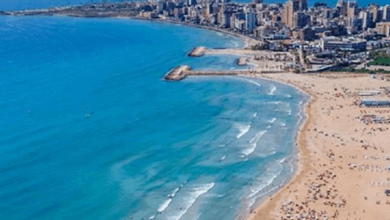 Photo of في صور…اصطادا سمكة لقز نادرة وهذا هو وزنها (صورة)