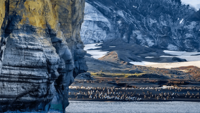 Photo of اختفاء بحيرة عملاقة في القارة القطبية الجنوبية.. ما السبب؟