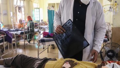 Photo of الفطر الأسود: ما هي علاقته بكورونا؟