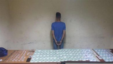 Photo of تجمع المطاحن: قرارات نعمة الجريئة ساهمت في حلّ الكثير من المشاكل