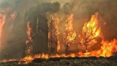 Photo of تجنباً للحرائق والحوادث.. التزموا بهذه الارشادات