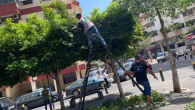 Photo of شبّان وشابات “بيروت للتنمية الاجتماعية” يعملون على تحسين صورة العاصمة.. إليكم التفاصيل