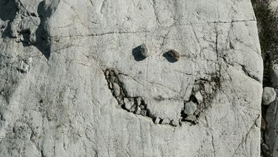 Photo of لماذا ترى أدمغتنا الوجوه البشرية في كل مكان؟