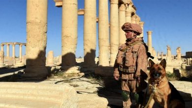 Photo of “ترميم الآثار علينا”.. ما وراء الوجود الروسي في تدمر