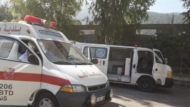Photo of سقط في هذا الحرش… اليكم التفاصيل