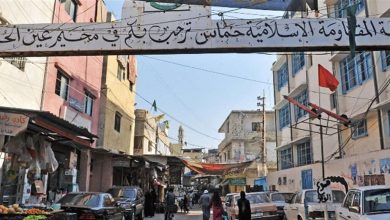 Photo of إشكال وإطلاق نار.. ماذا حصل في مخيم عين الحلوة؟