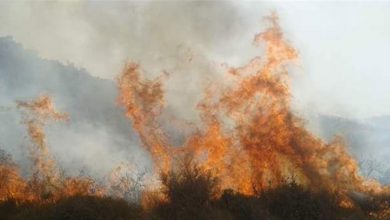 Photo of المسلسل مستمر… حريق في بلدة مزبود (فيديو)