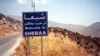 Photo of دورية إسرائيلية “تخطف” 100 رأس ماعز في خراج شبعا