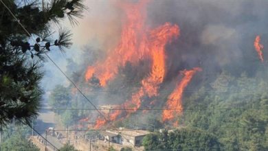 Photo of حريق القبيات يتوسع… وإجلاء 17 شخصاً أصيبوا بالاختناق