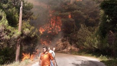 Photo of إجلاء مواطنين احتجزوا بسياراتهم جراء الحريق في القبيات