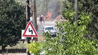 Photo of بيان توضيحي لحركة “أمل” حول إشكالات مغدوشة