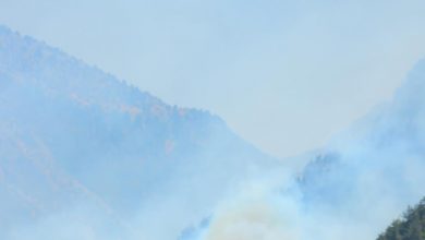 Photo of حريق كبير في جرد الفنيدق (صورة)