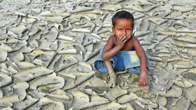 Photo of خبراء يحذرون من كارثة: موجة جفاف وحرائق غابات كبيرة في افريقيا بحلول 2050