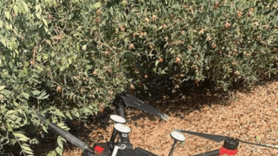 Photo of جيش العدو يعلن إسقاط طائرة مسيرة تابعة لـ”حماس”
