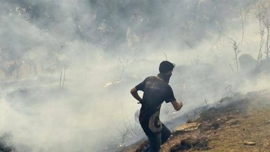 Photo of جريمة بشعة في الجزائر… هذه تقاصيلها