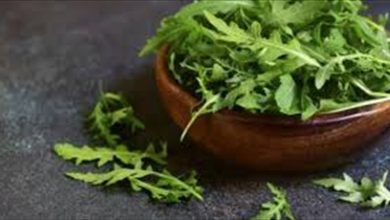 Photo of حقيقة دور الجرجير في زيادة هرمون الذكورة