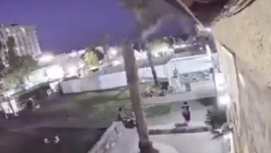 Photo of فيديو مرعب… شجرة تسحق امرأة وتُرديها قتيلة!