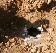 Photo of ‏الجيش دهم مستودعات في منطقة رياق وصادر ٤٠٠ طن من مادة المازوت وقام بتوزيعها على عدد من المستشفيات والافران والبلديات والمزارعين.