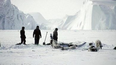 Photo of وضع المسنين في الثلج وتعليق جثث الأطفال.. عادات غريبة تعرّفوا إليها؟!
