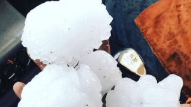 Photo of بحجم البرتقال.. عاصفة بَرَد تروّع مناطق في أستراليا