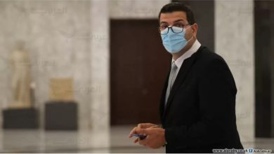 Photo of وزير الزراعة: كم أتمنى أن تعقد يوم غد جلسة لمجلس الوزراء ولكن الامور لم تنضج بعد