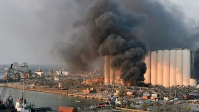 Photo of وكلاء الضحايا الاجانب في انفجار المرفأ يتقدمون بطلب فصل ملف رد القاضي البيطار عن ملف رد القاضي ايليا