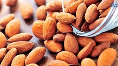 Photo of لهذه الأسباب… لا تكثروا من أكل اللوز