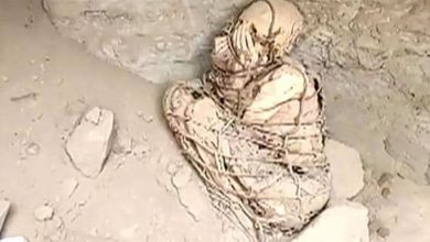 Photo of مومياء مرعبة عمرها مئات السنين في بيرو…شاهدوها