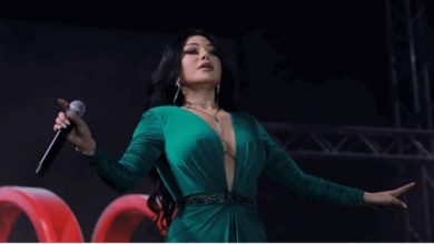 Photo of هيفا وهبي تخطف الأنظار بفستان ساتان أخضر بمصر.. غناء ورقص ودلع! (صور وفيديو)