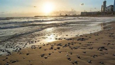 Photo of التلوث البلاستيكي: من البحر إلى السمك إلى المائدة