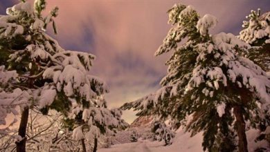 Photo of منخفض جوّي يضرب لبنان غداً: أمطارٌ وثلوج!