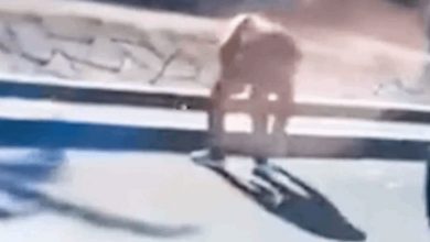 Photo of أموال تتطاير بسماء دمشق.. والناس يركضون لالتقاطها! (فيديو)