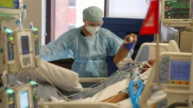 Photo of ذروة موجة إصابات “كورونا” بعد أيام… وتحذير!